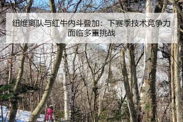 niu-wei-li-dui-yu-hong-niu-nei-dou-die-jia-xia-sai-ji-ji-shu-jing-zheng-li-mian-lin-duo-zhong-tiao-zhan-2-676.jpg